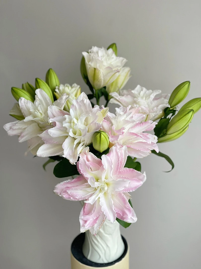 莲花公主重瓣百合有香味水养鲜花