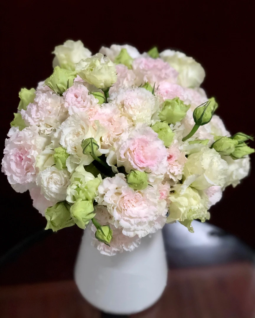 冰激凌-洋桔梗稀有品种水培鲜花