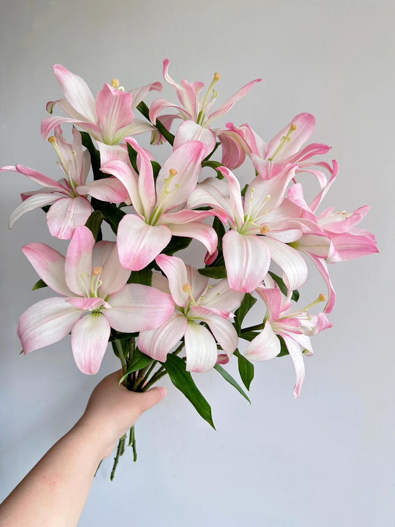 纱纱-亚洲百合无香味小花苞水培鲜花
