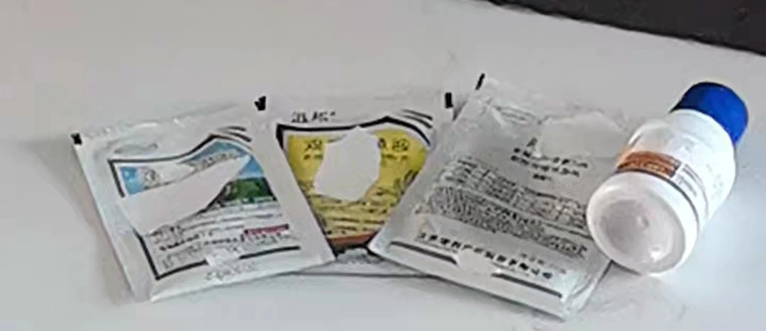 买十发11）小麦阔叶杂草猪秧秧本地燕麦