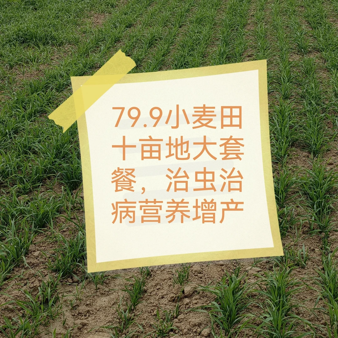 79.9（小麦十亩地大套餐）