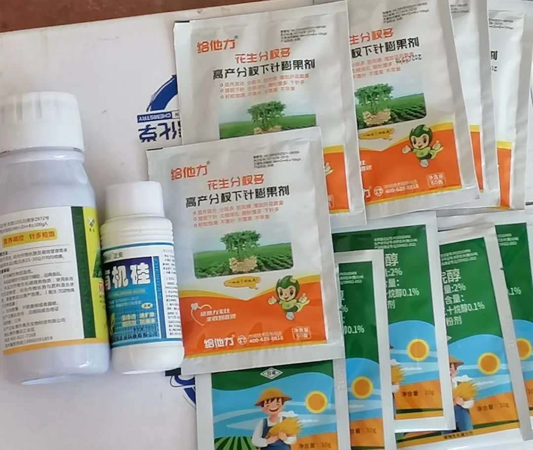 花生多分叉，多开花，果白粒粒饱24.8打五亩