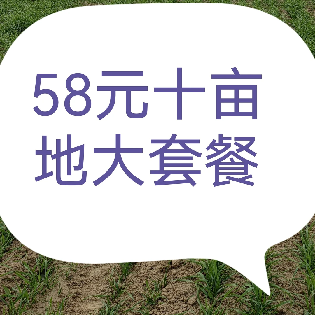 58元新年小麦十亩地大套餐