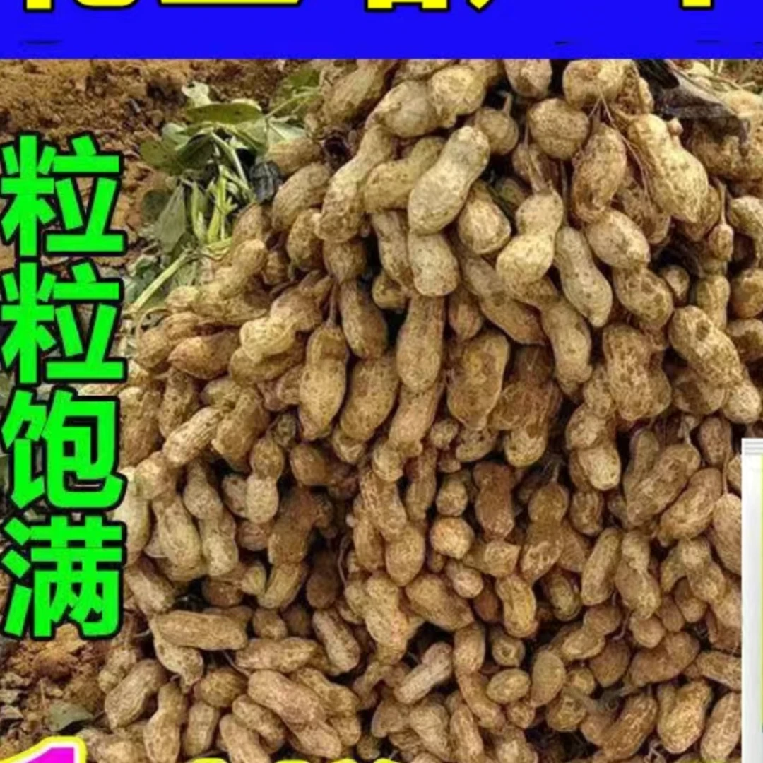 花生微控增产膨果剂五桶水25
