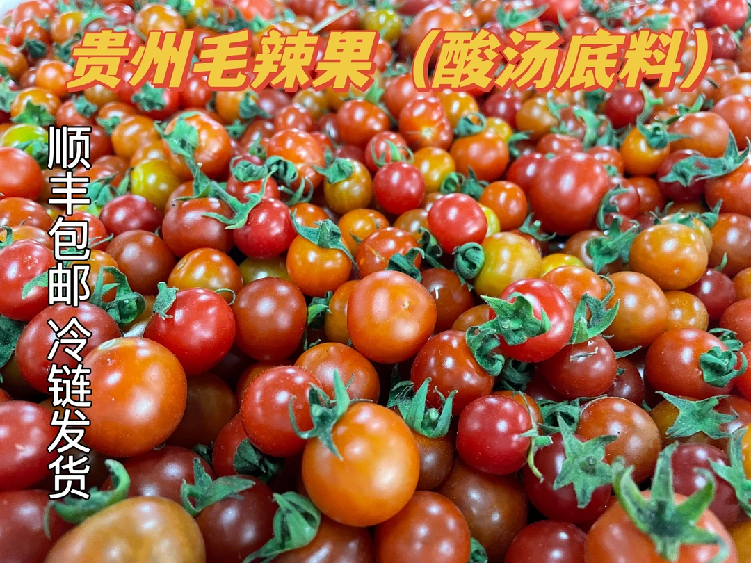 贵州农家新鲜小西红柿水果小番茄酸汤西红柿番茄毛辣果顺丰包邮