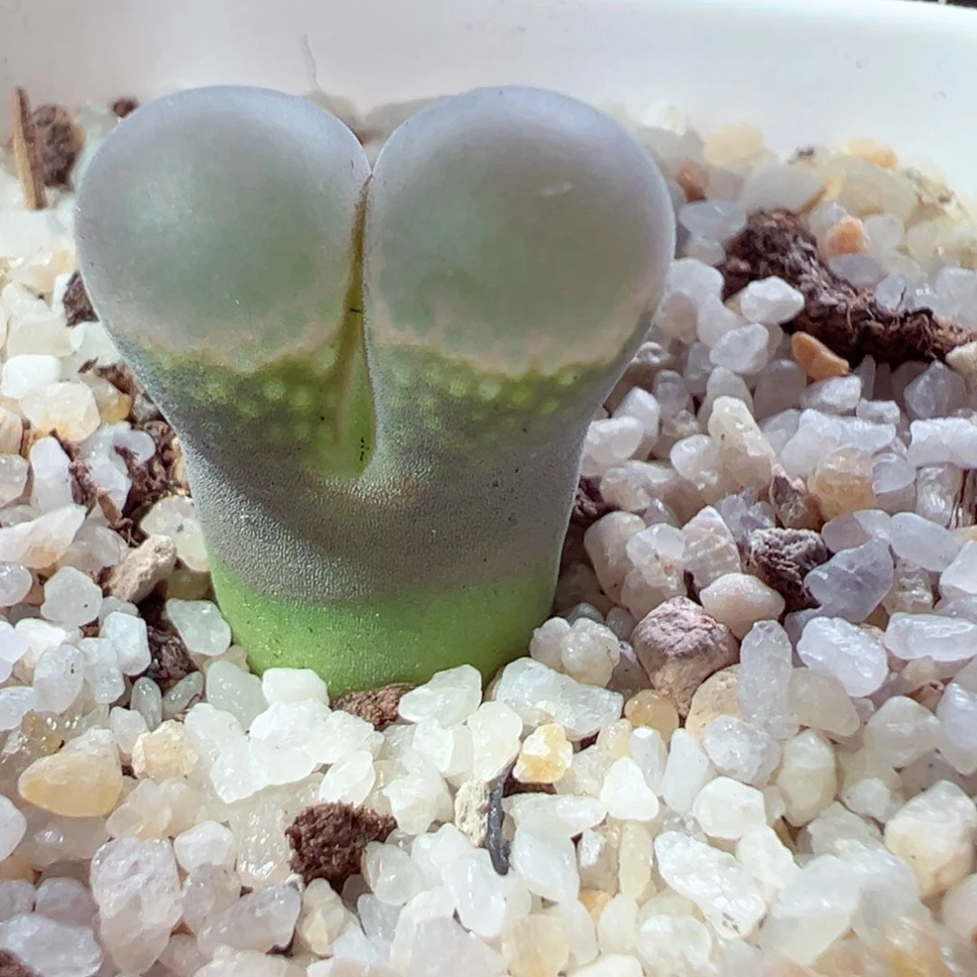 106-391.我的心都在