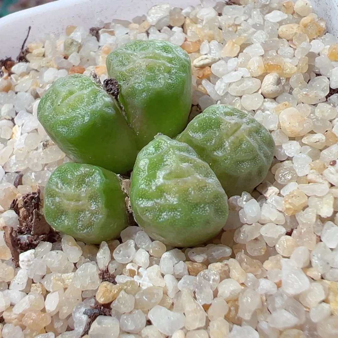 826-328.我的心都