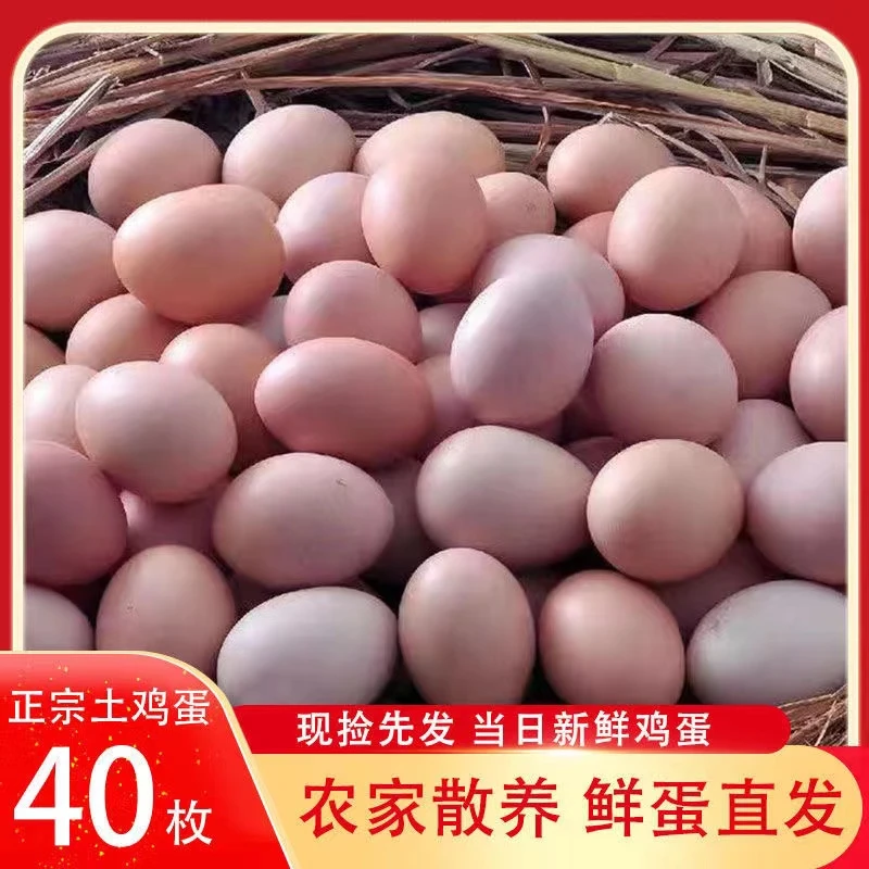 土鸡蛋农家散养草鸡蛋宝宝孕妇辅食现捡现发40枚共1600g
