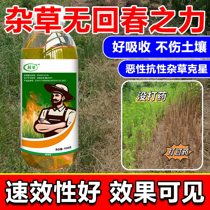 【沃爷新上】精草胺膦铵盐牛筋草小飞蓬抗性除杂果园田园除草剂