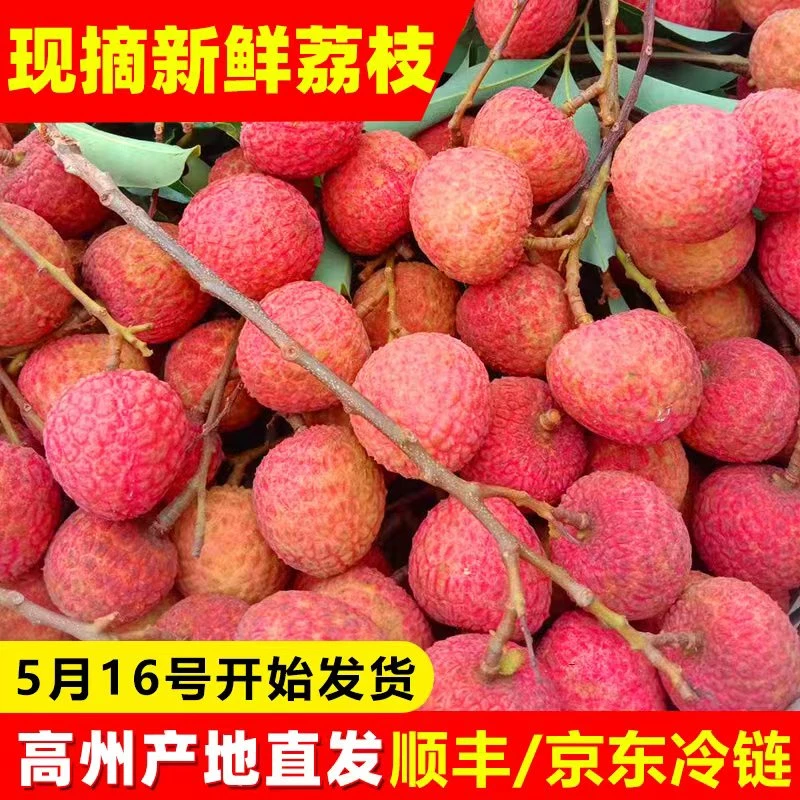 【顺丰/京东冷链包邮】现摘广东高州新鲜荔枝妃子笑白糖罂清甜多汁