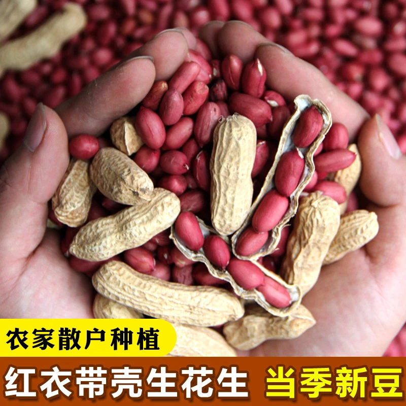 广东高州红衣红皮花生带壳生晒新鲜农家原味花生2/3/5斤