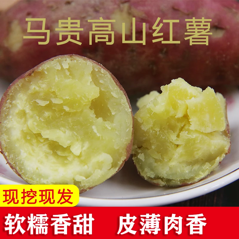 高州马贵高山板栗薯黄肉番薯红薯新鲜产地直发粉糯香甜皮薄5/9斤