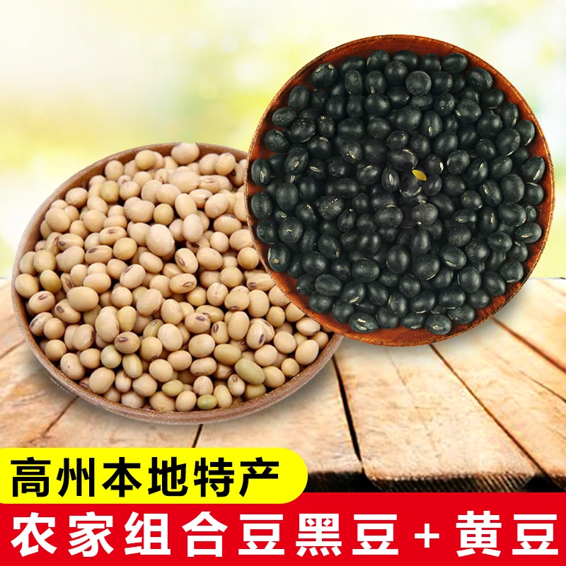 广东高州本地小黄豆+黑豆组合农家自种老品种香味浓可打豆浆5斤