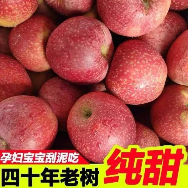 【香甜】陕西秦冠苹果粉面香甜宝宝刮泥辅食应季整箱9.5-10斤包邮