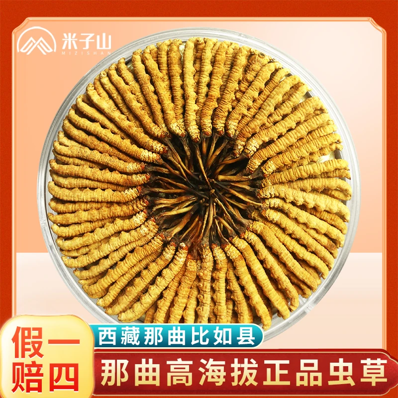 冬虫夏草官方旗舰店正品西藏那曲高海拔冬虫夏草礼盒精选高品质