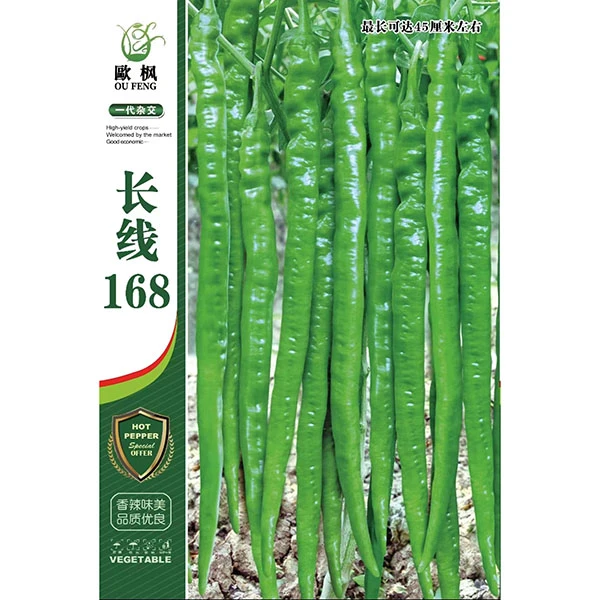 长线168早熟线椒种子 春秋高产型辣椒种子大棚露地顺直味辣不早衰