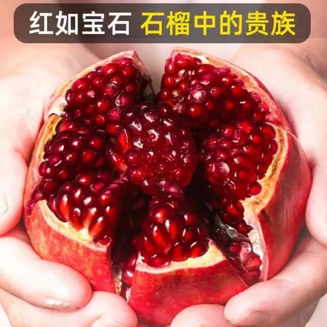 【朝歌严选】会理正宗突尼斯软籽石榴新鲜应季水果饱满爆汁5斤包邮