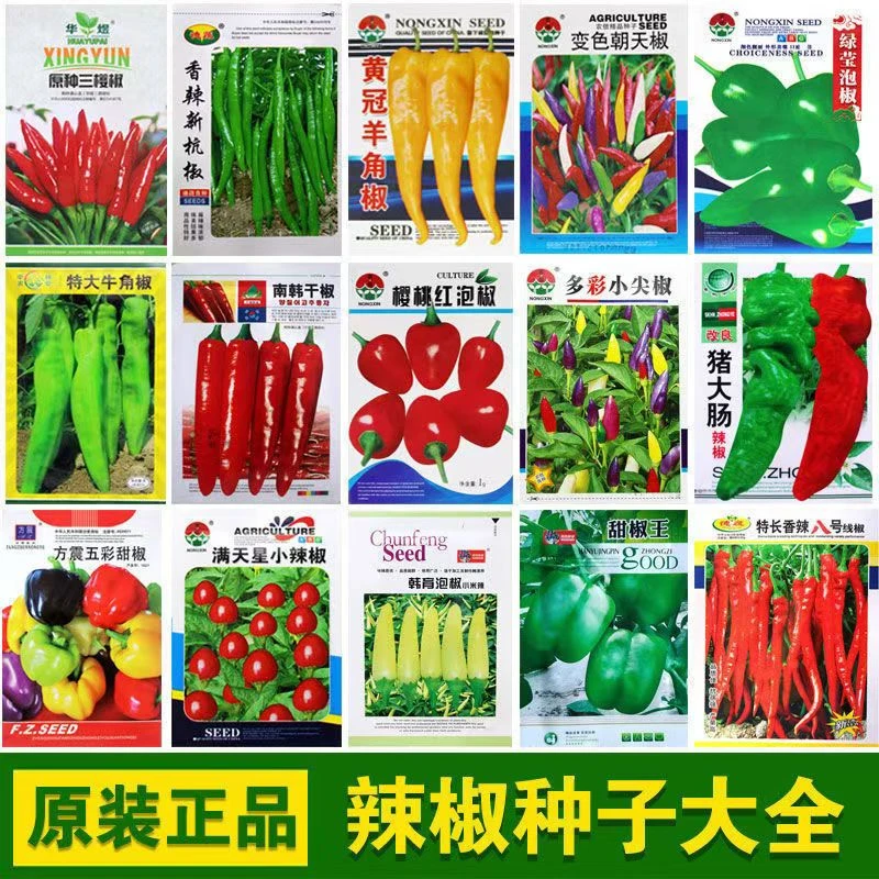 【辣椒合集】椒种汇总薄皮辣椒种子小米辣椒朝天椒螺菜园蔬菜秋冬种
