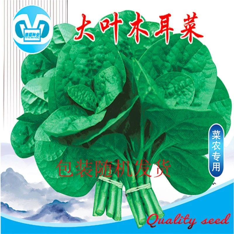 【开春新品】【厂家直发】四季种植四季大叶木耳菜肉厚豆腐花盆种