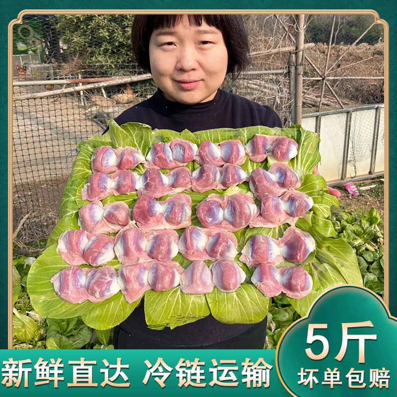【小阳】 新鲜5斤鸡胗 新鲜土鸡胗 不加冰 新鲜发货 顺丰京东