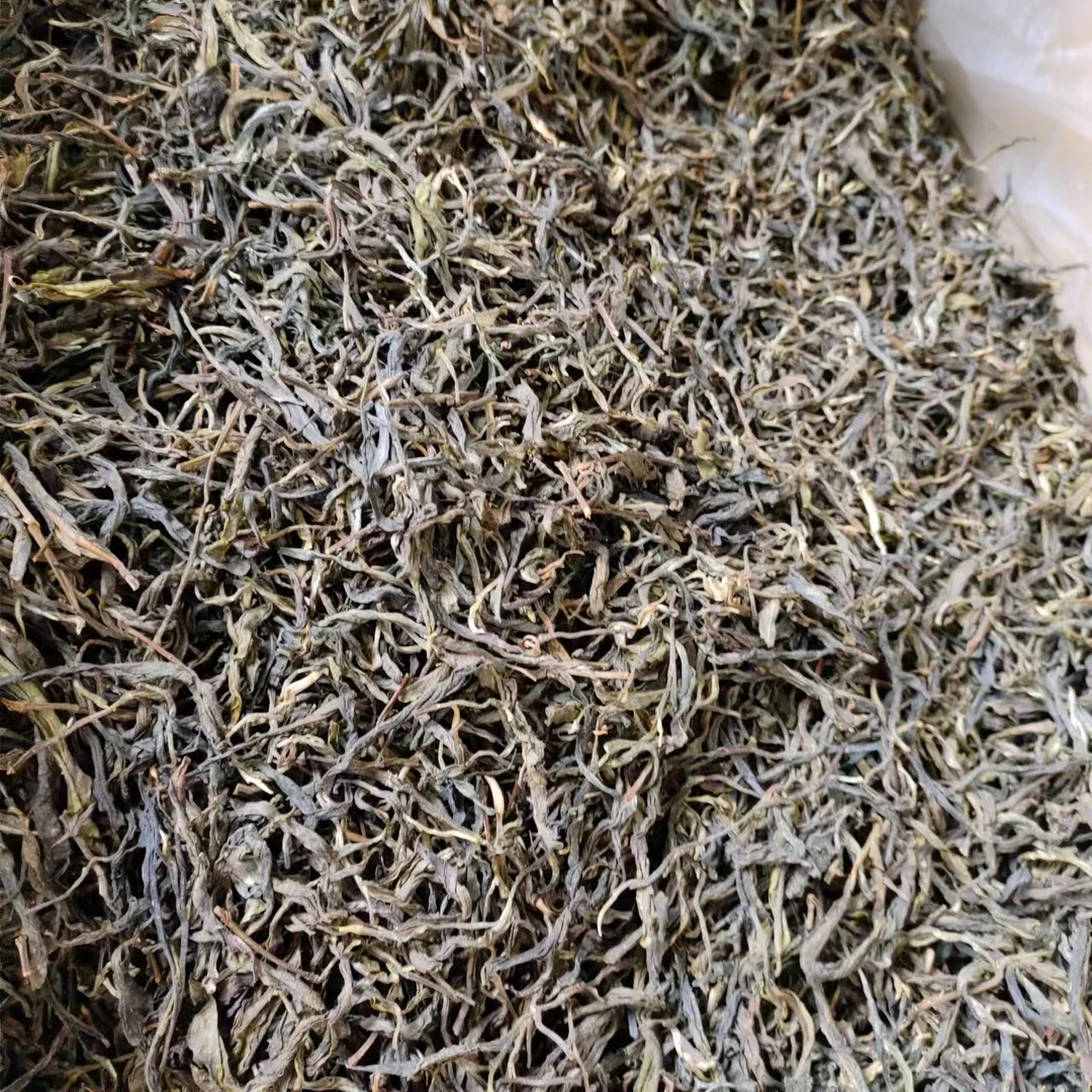 邦东茶区璋珍村4号茶农