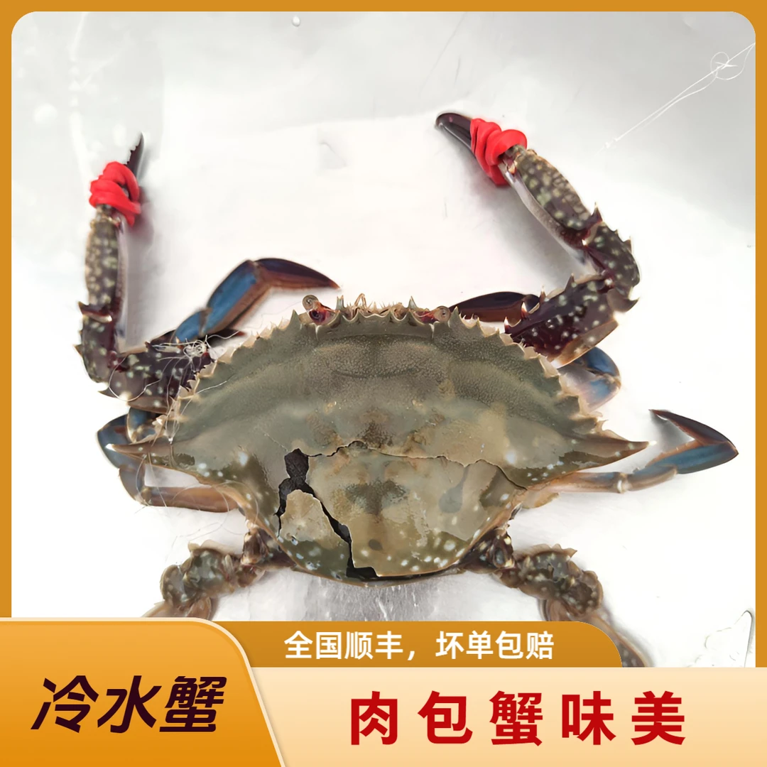 【肉包退盖蟹】一斤3只左右 2斤/3斤两装 不保腿甲全【保鲜不保活】