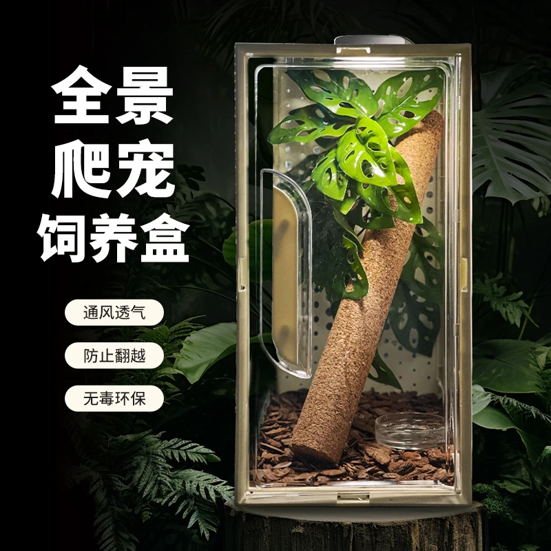 透明爬宠饲养盒鞋盒平替好观察宠物饲养箱蛇老爷树蛙睫角豹纹守宫