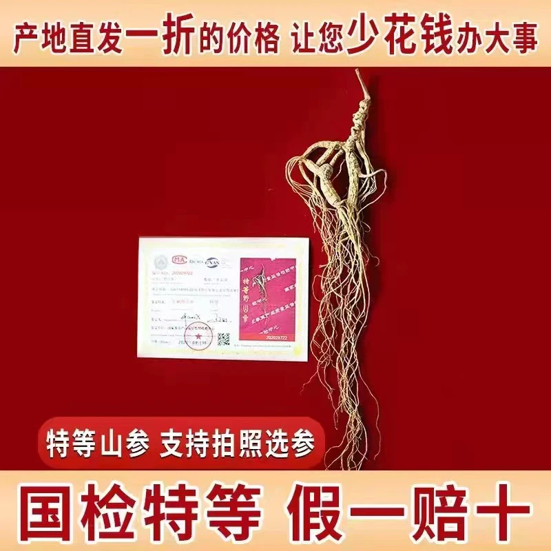 国检特等参 长白山人参礼盒 山参礼盒60/80礼盒任选