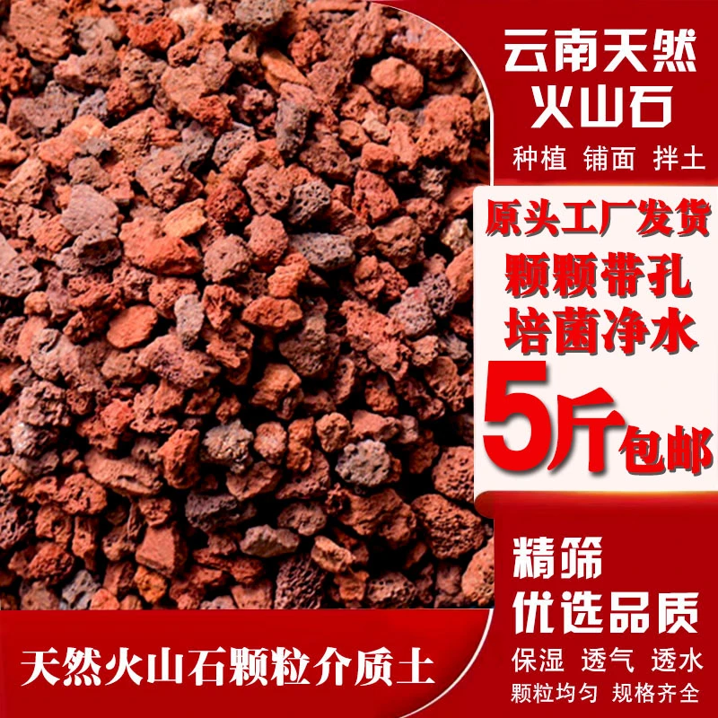 天然红火山石颗粒拌土多肉兰花铺面鱼缸过滤材云南腾冲大块火山岩
