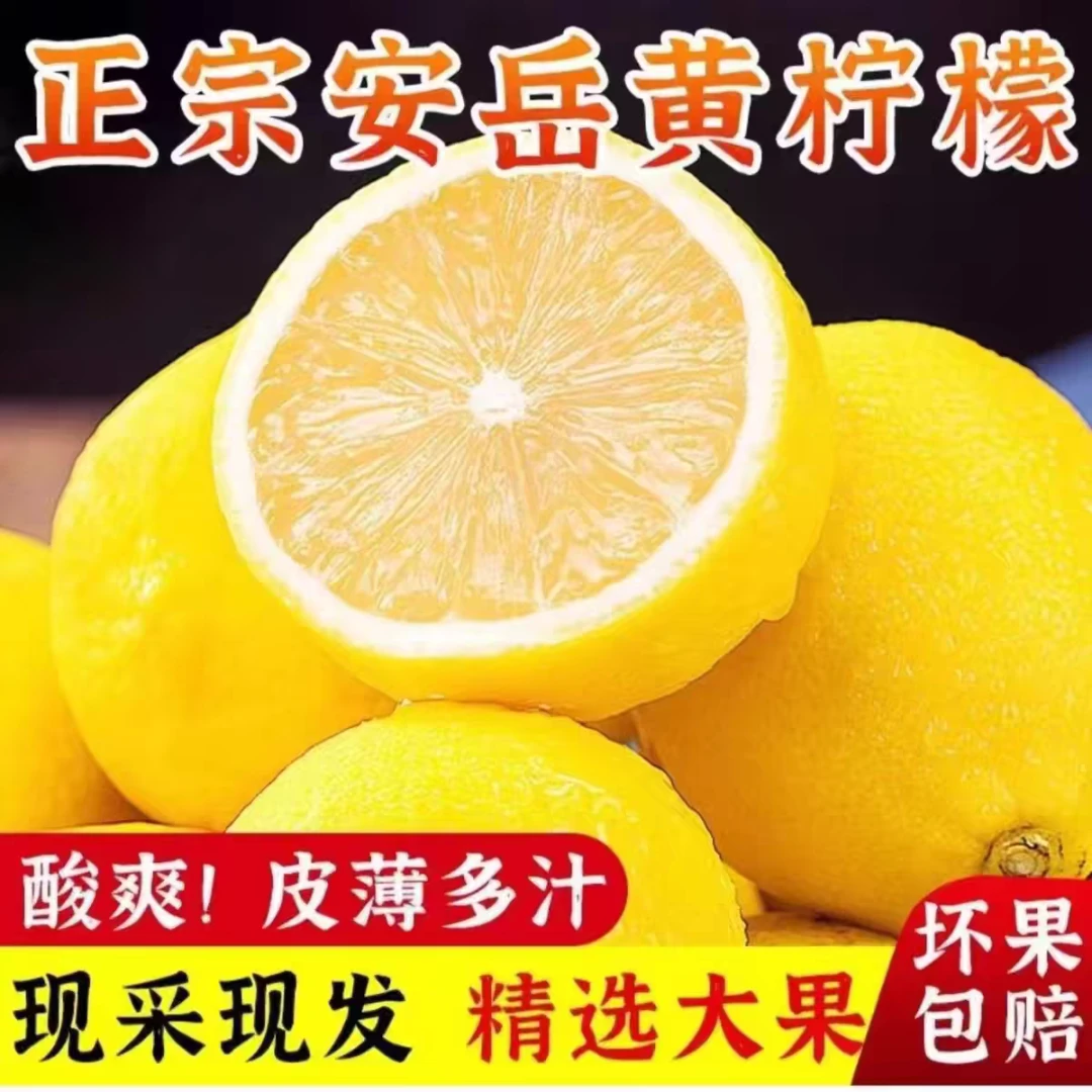 精选安岳黄柠檬奶茶店专用果新鲜皮薄汁多甜香清新包邮水果整箱装