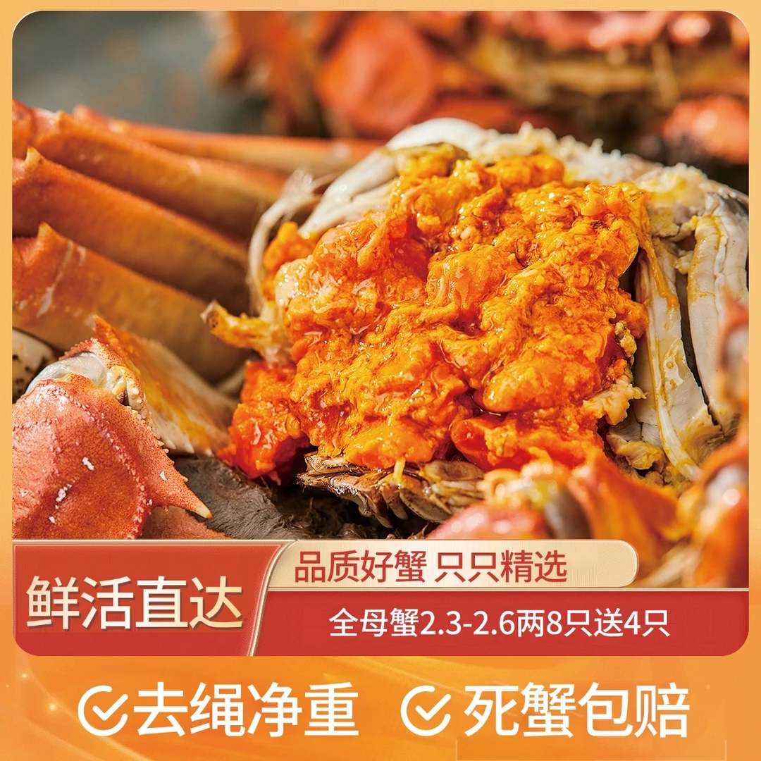 【湖中居】精品全母活蟹2.3-2.6两*8只送4只共12只礼盒包装