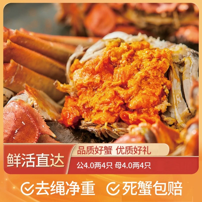 【湖中居】精品蟹公4.0两*4只 母4.0两*4只共8只礼盒装