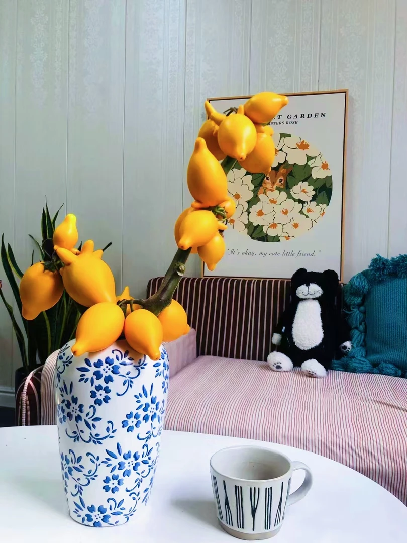 【五代同堂黄金果】直播福利款专属链接