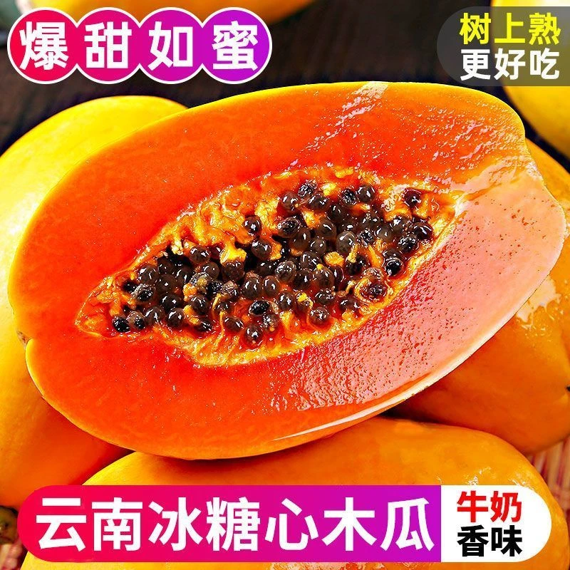 红心牛奶木瓜新鲜水果当季孕妇整箱香甜冰糖青木瓜树上自然熟包邮