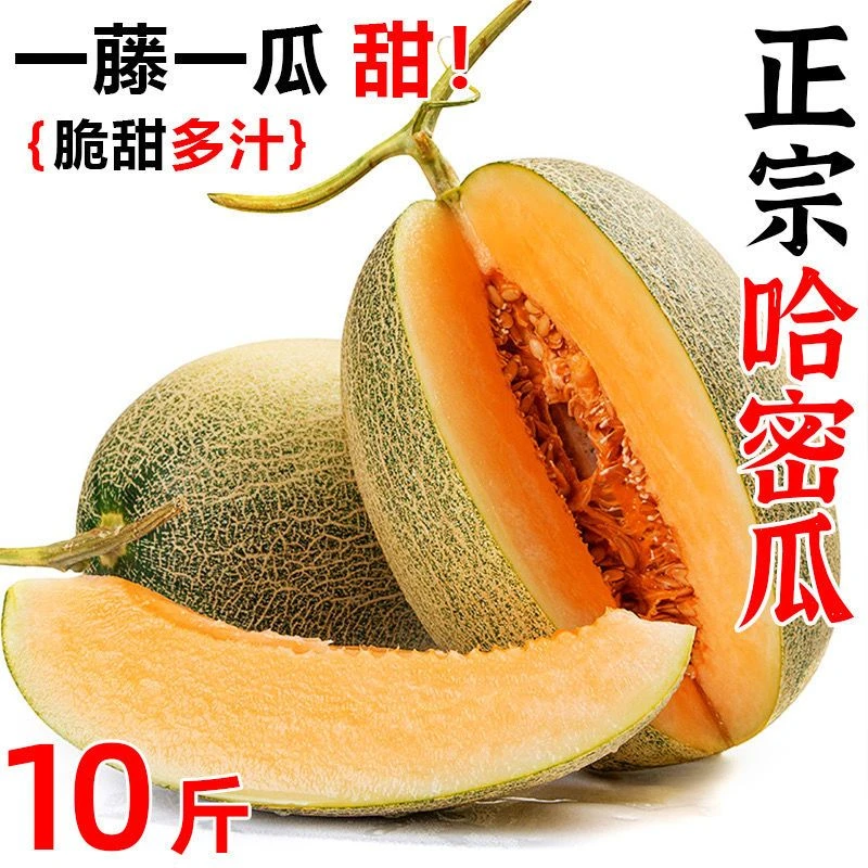 新疆哈密瓜新鲜水果玫珑蜜瓜整一箱当季冰淇淋网纹蜜瓜甜瓜3-10斤