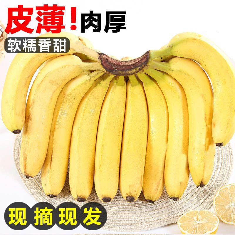 广西高山甜香蕉香甜软糯非苹果蕉2-9斤新鲜当季水果绿色自然果香