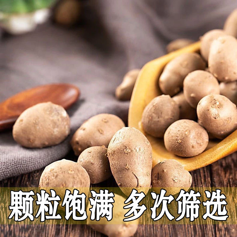 新鲜正宗山药豆装铁棍山药豆怀淮山药蛋白嘴山药可串糖葫芦批发