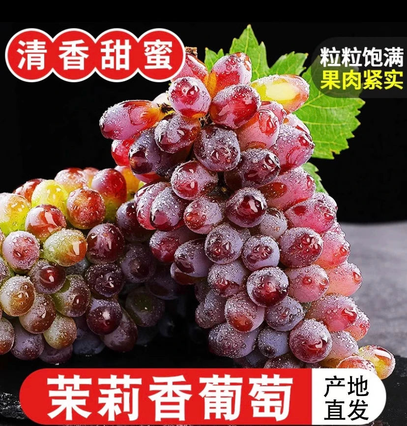 云南无籽红提葡萄克伦生茉莉香新鲜提子孕妇当季应季水果整箱批发