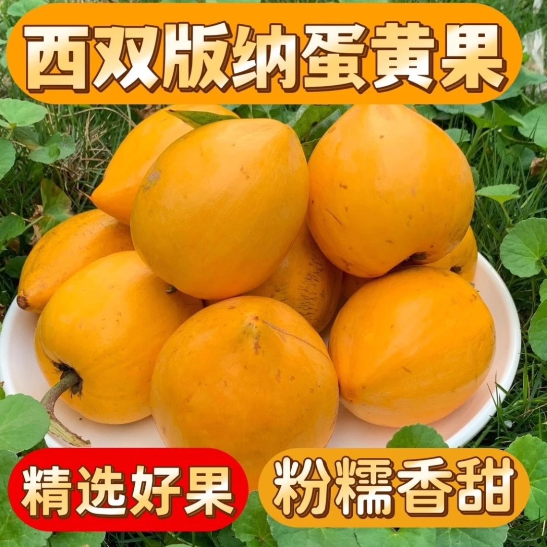 云南蛋黄果新鲜包邮1/5斤鸡蛋果版纳特产应当季热带水果整箱批发