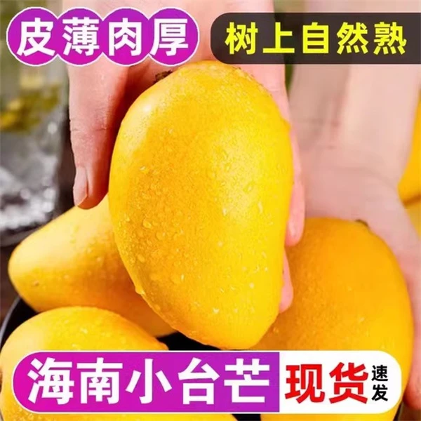 海南小台芒新鲜正宗整箱当季水果芒果小台农现摘装大果红金青煌芒