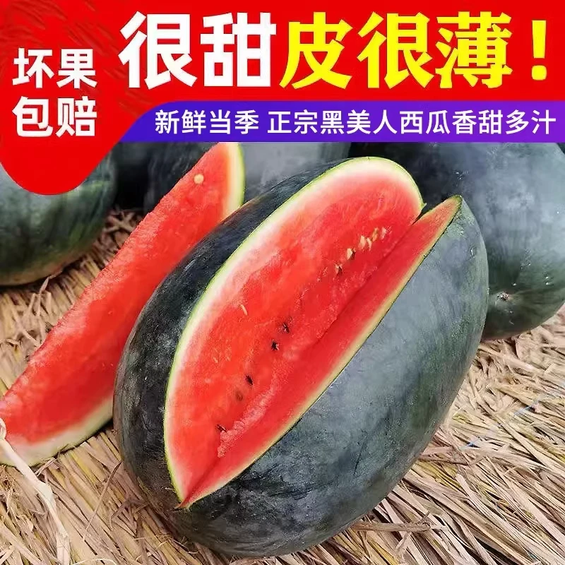 现摘薄皮黑美人西瓜新鲜水果应季爆甜品种整箱批发越南黑皮西瓜