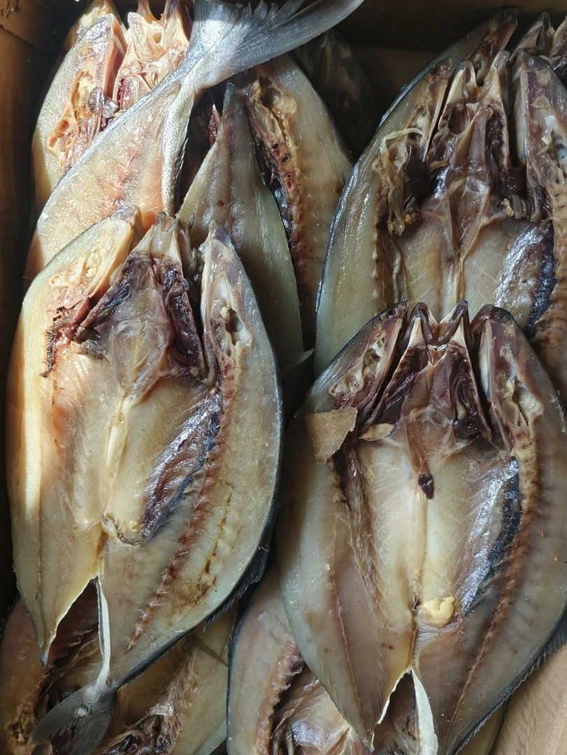 开背鱼坯子黄金鱼坯子腌制咸鱼