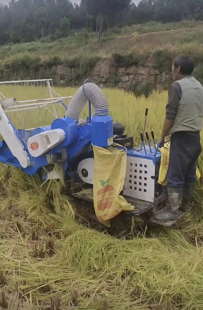 4L-0.6B收割机 小型收割机 履带收割机 四川红驰收割机 水稻收割
