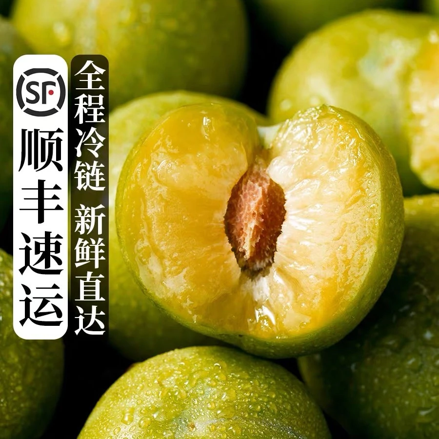 （顺丰/京东）正宗重庆巫山脆李当季鲜果脱骨脆甜现摘沿河空心李子