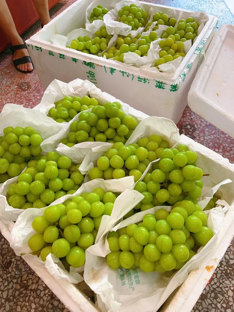 阳光玫瑰25元三斤