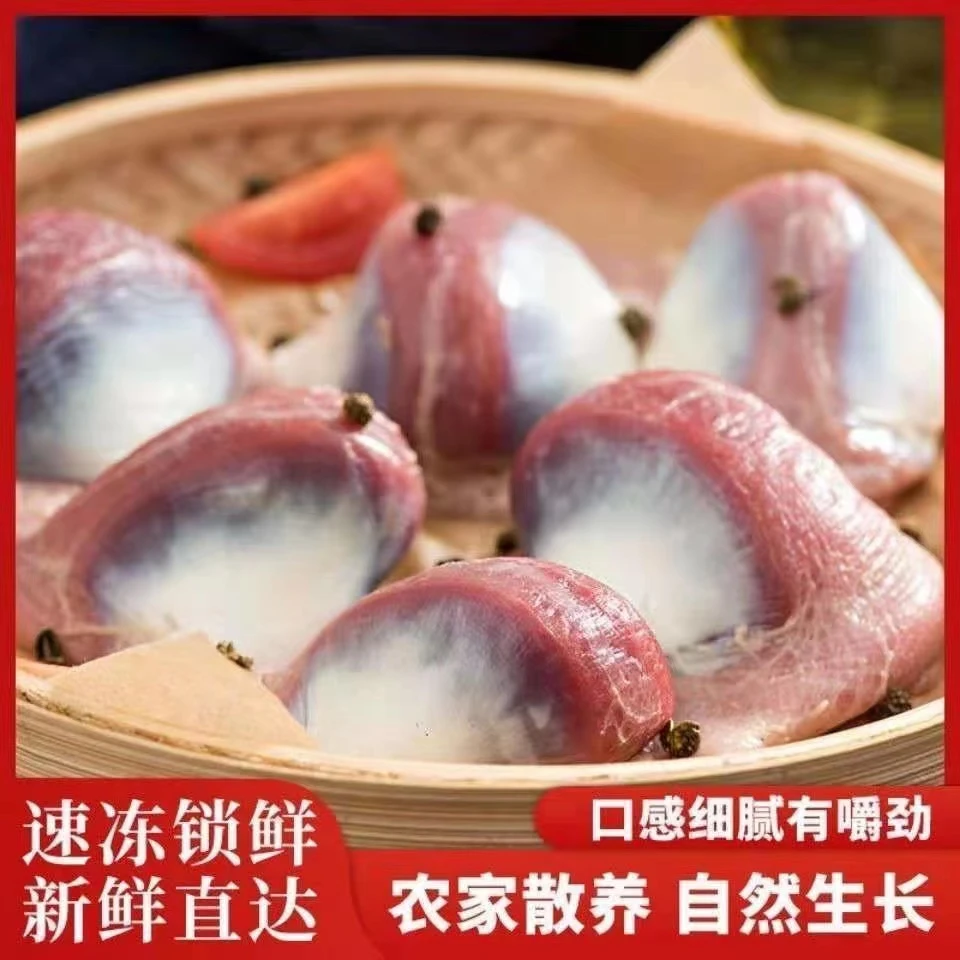 【拍4斤送4斤到手8斤】鸡胗带肚新鲜冷冻农家散养烧烤食材
