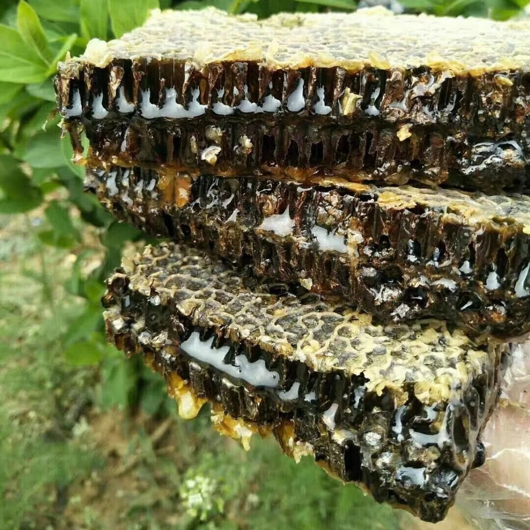 【长白山】老巢蜜一盒一斤一年只取一回营养高自然成熟老巢好吃推荐
