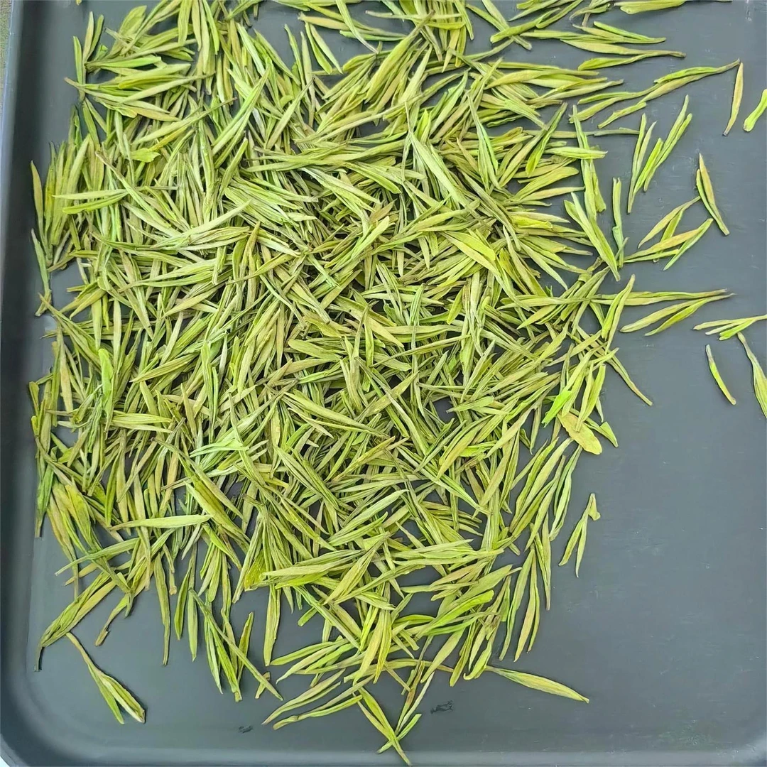 7.30（Y3）2024新茶明前奶香白茶