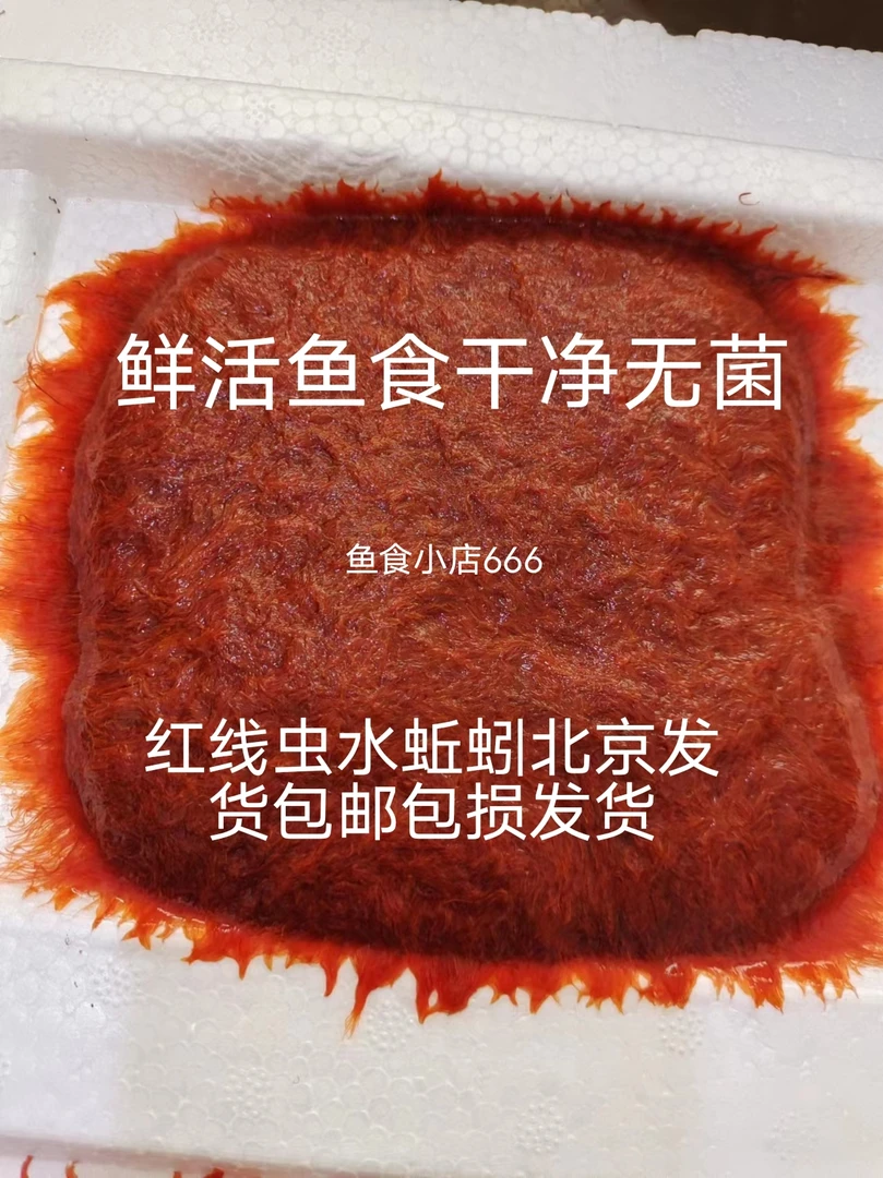 水蚯蚓红线虫活鱼食高蛋白观赏鱼水蚯蚓发色饲料