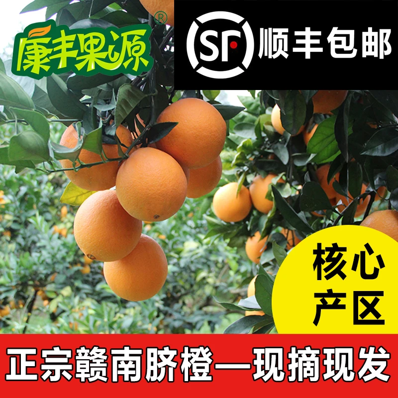 康丰果源15斤特级王中王脐橙正宗赣南信丰脐橙新孕妇儿童鲜橙子